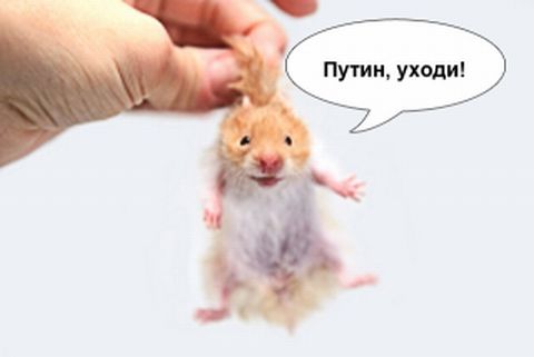 Расстановка точек над i в теме про протесты в Москве