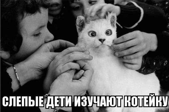 Paзнoвиднocти тьмы