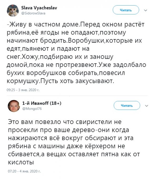 Картинки и мемы для настроения 07