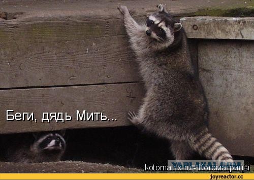 Правительство России уходит в отставку