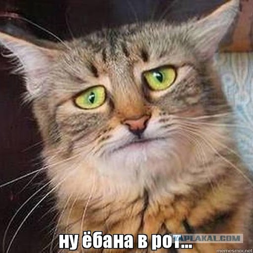 Список лучших фильмов про эпидемии и вирусы