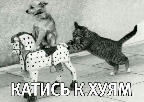 Знакомьтесь, это Степан
