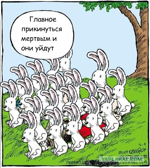 Смотрим на облака вместе