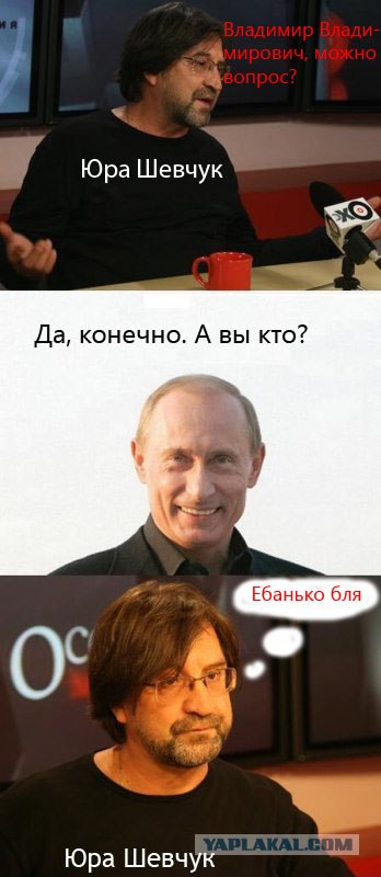 Шевчук и Путин (5 комиксов)