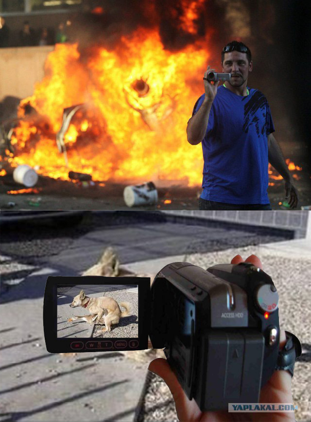 Фотожаба: Что же его так заинтересовало?