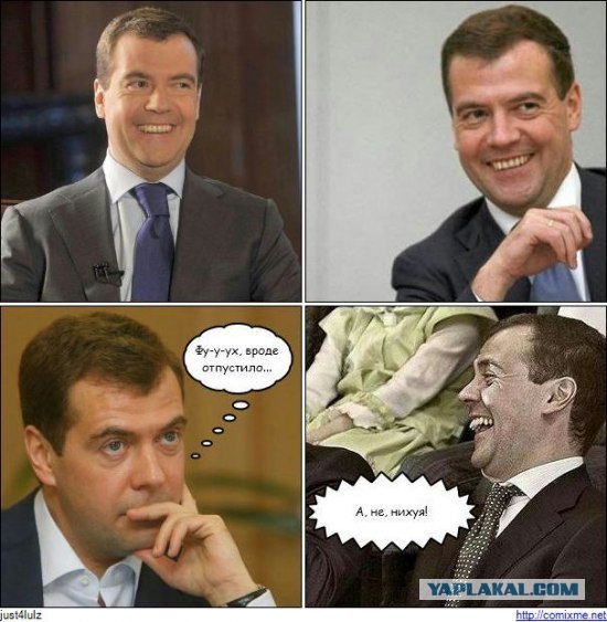 Мы стали больше сеять рожь