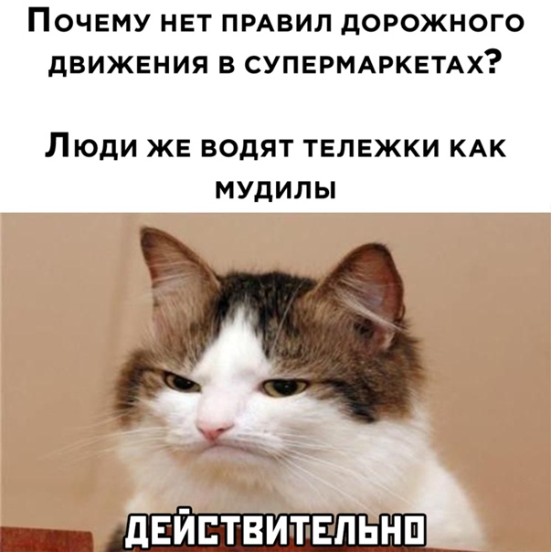 Картинки с надписями и всякие жизненные фразы 9.01.21
