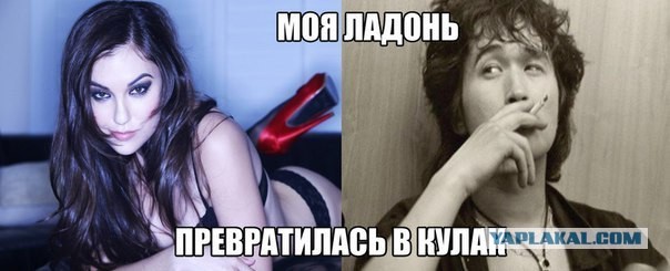 Пятница. И немного слегка пошлых картинок с надписями и без 16+ (12/03))