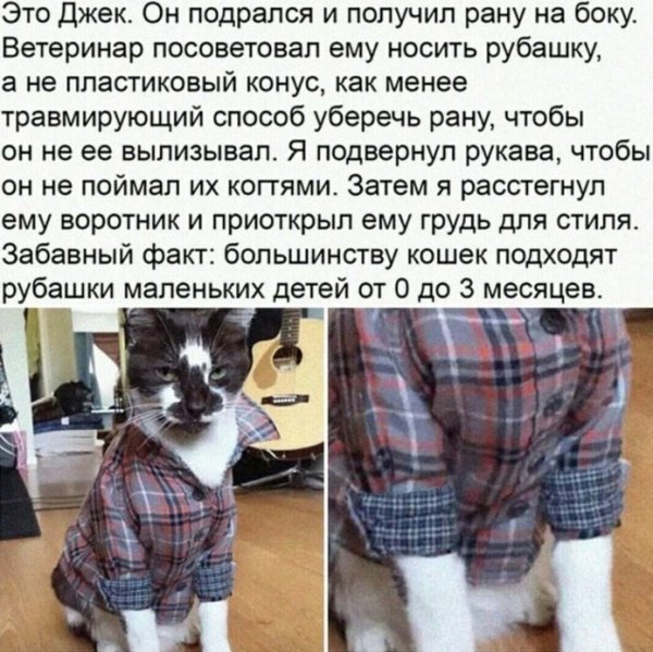 Действительно работающие житейские хитрости, которые способны облегчить жизнь каждого
