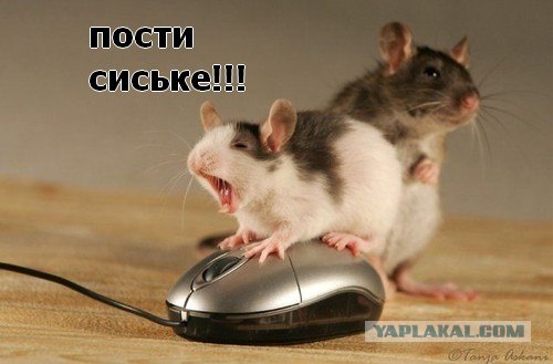 Девушки! ЯП напоминает: "Зарегилась - Предоставь!"