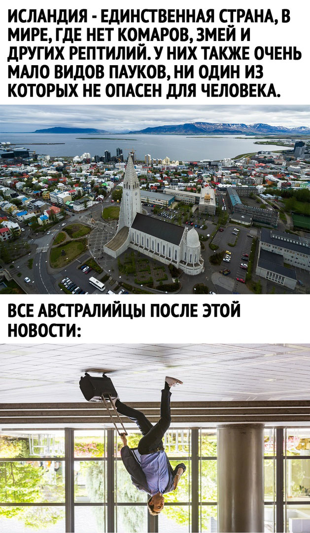 Так себе картинки 06.07.21