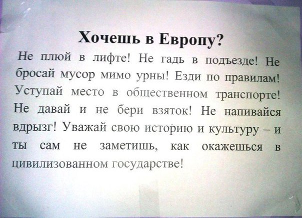 Школьники из Москвы завоевали все пять золотых медалей на Международной олимпиаде по физике