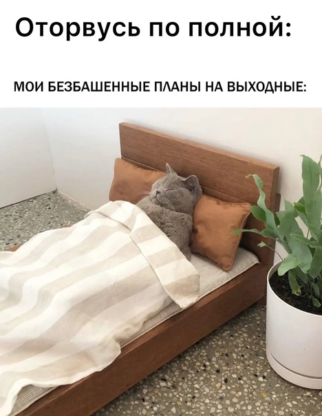 Так себе картинки 29.08.21