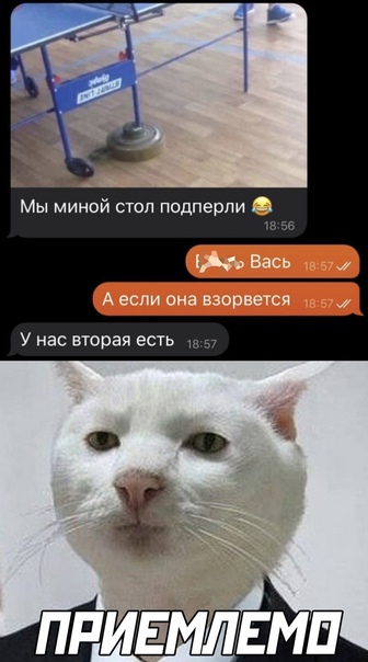 Картинки и мемы для настроения 003