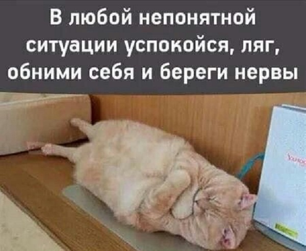 Один шаг и она начнется