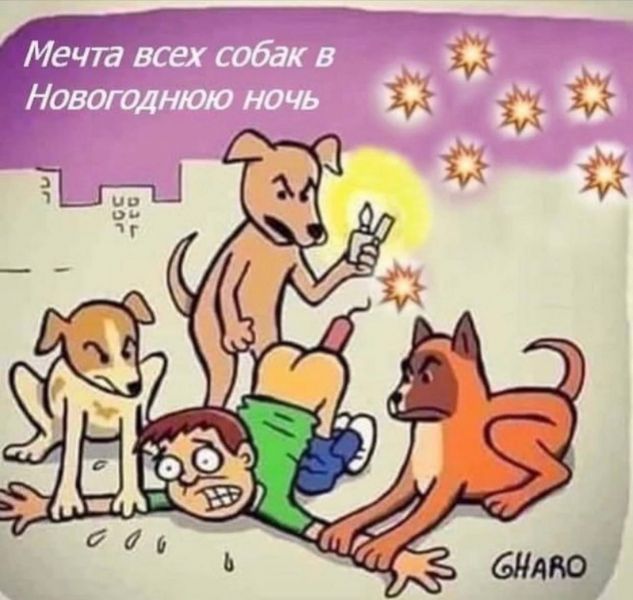 Баянисто-небаянистый юмор 8.01.22