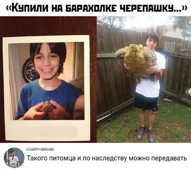 Скриншоты и комментарии из социальных сетей 20.08.22