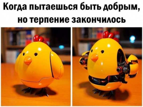 Картинки и мемы, всем хороших выходных