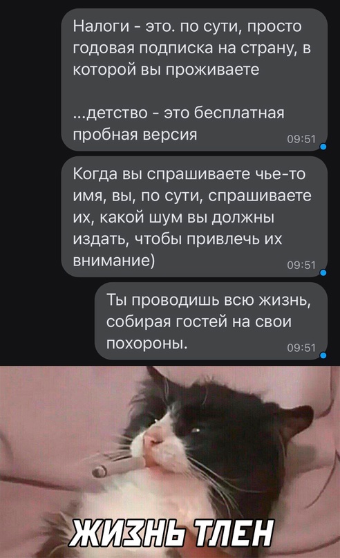 Весёлый полтишок 16.12.2022