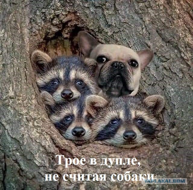 Немного картинок для настроения/постпраздничное