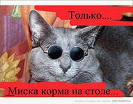 Скандал в торговом центре, "вежливые" продавцы