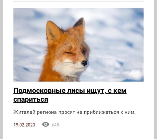 Немного картинок для настроения - 137