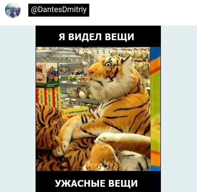 Картинки и мемы, всем хороших выходных