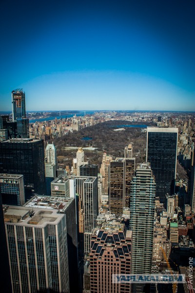 Как я в NYC ездил.