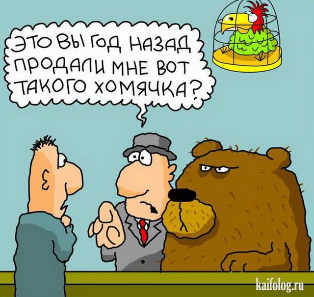 Рандомные анекдоты про медведя