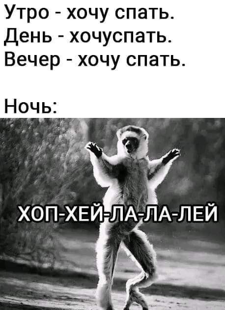 Баяны и не совсем. Понедельничное