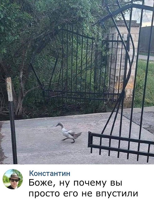 Весёлый полтишок 15.09.23