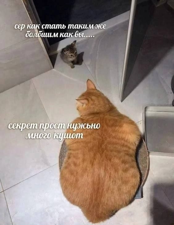 Тлидцать тли от 19 февлаля