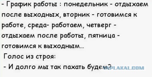 Лучше сократить рабочий день или иметь возможность спать на работе?
