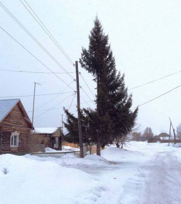 Так себе картинки 08.05.24