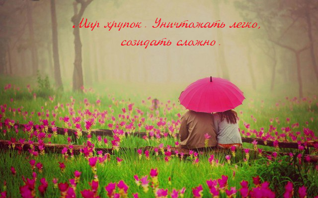 ФотоВинегрет