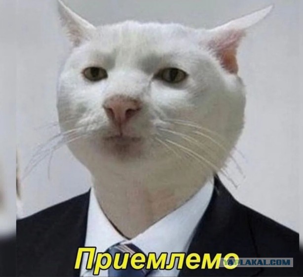 Осмотр ходовой