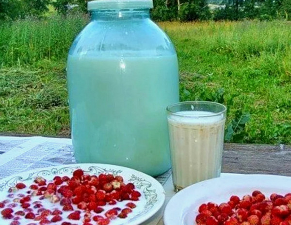 У нас клубника полевая пошла