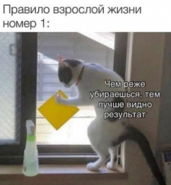 Всего понемногу. От 02.08.24