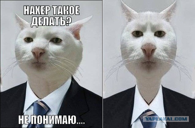 Тоже вернётся?