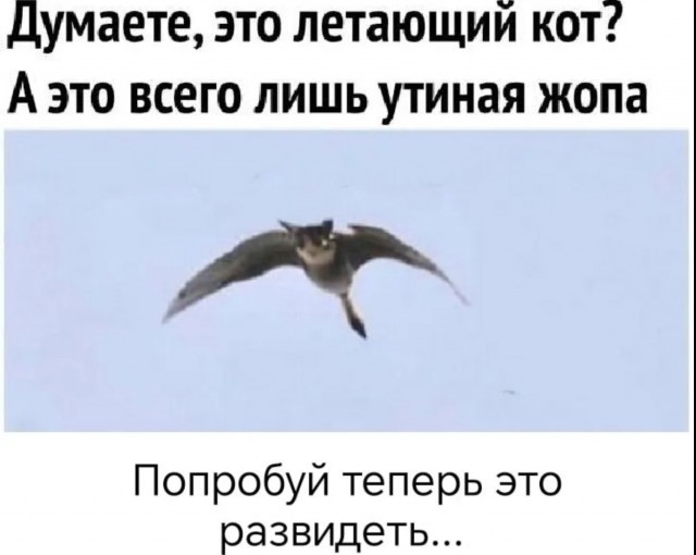 Завалялось тут случайно немного забавных картинок