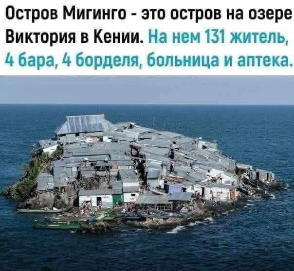 Веселое настроение в картинках (05.08.2025)