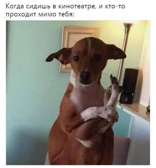 Картинки для деградации 57 (разной степени свежести)