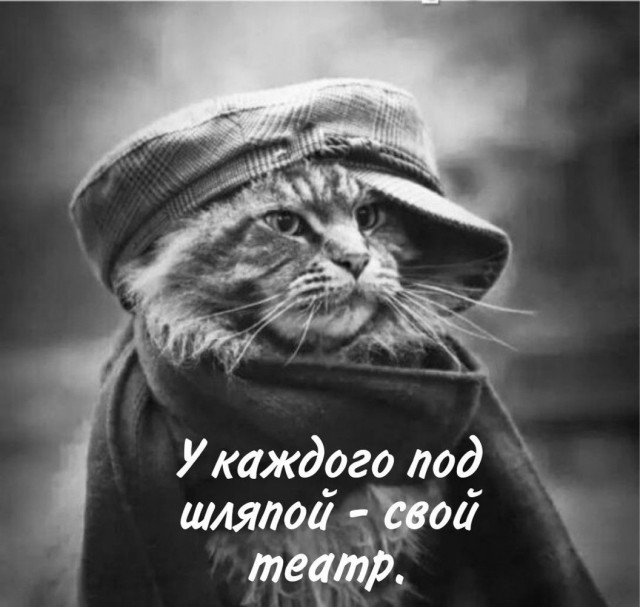 Когда шоу выходит из-под контроля