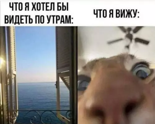 Картиночки, баянчики 20 февраля