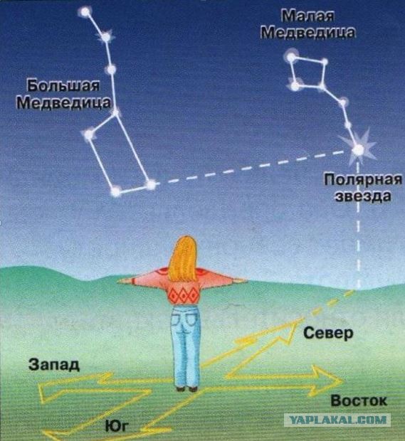 Москвичам предложили ориентироваться по Солнцу и звездам