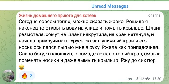 Жизнь домашнего приюта для котеек 575