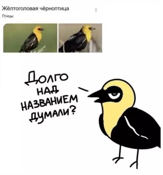 Картинки на среду