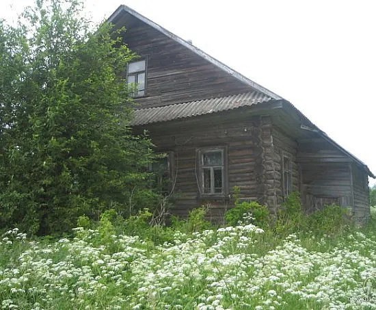 Каникулы у бабушки в деревне.