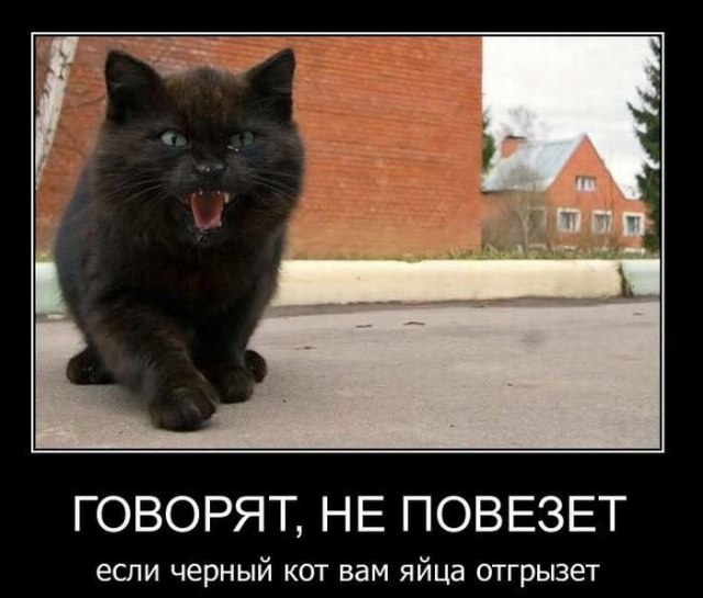 Демотиваторы.
