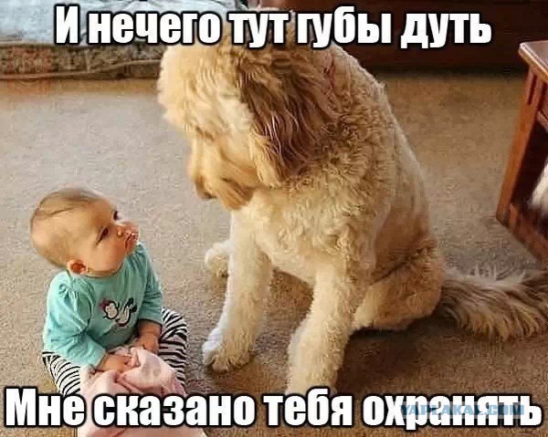 Немного позитива